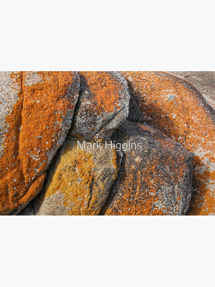 "Binalong Bay Rocks, Tasmania" Poster for Sale by markhiggins Redbubble