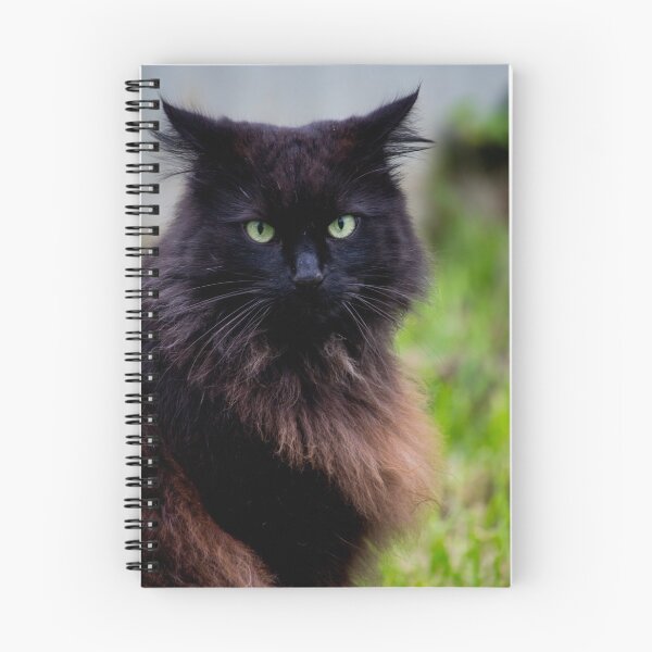 Item preview, Gato negro designed and sold by risingstar.
