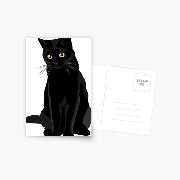 Black Cat Postcard