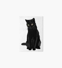 Lámina de exposición Gato negro