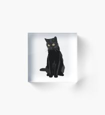 Bloque acrílico Gato negro