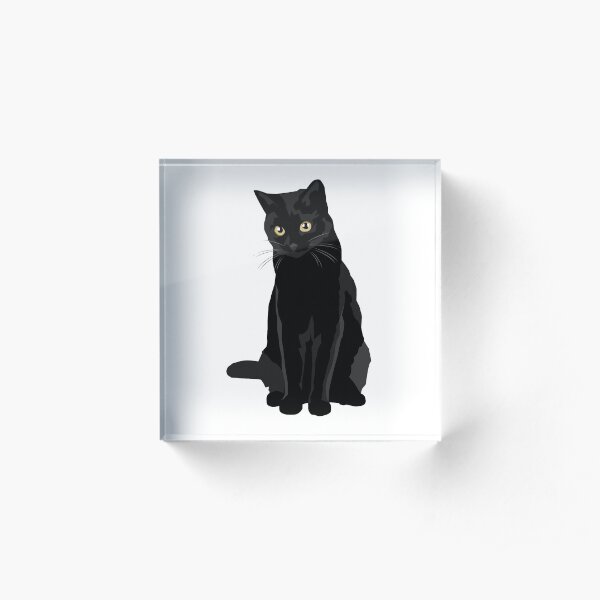 Black Cat Acrylic Block