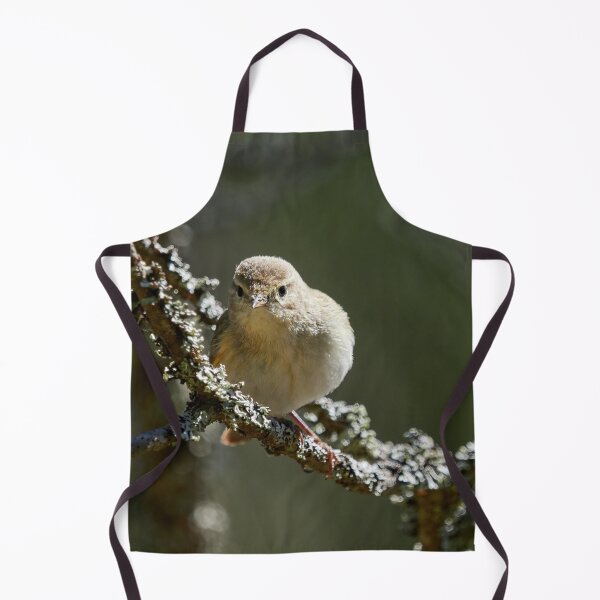 Item preview, Maybe some hesitating going on. Common Chiffchaff designed and sold by Jouko Lehto Photography.