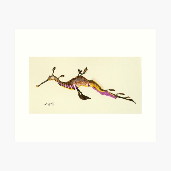 Weedy Sea Dragon Watercolour Art Print