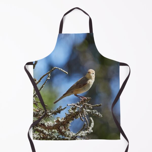 Item preview, A song for the spring. Common Chiffchaff designed and sold by Jouko Lehto Photography.