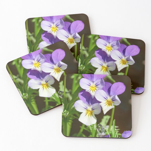 Item preview, Heartsease trio designed and sold by Jouko Lehto Photography.