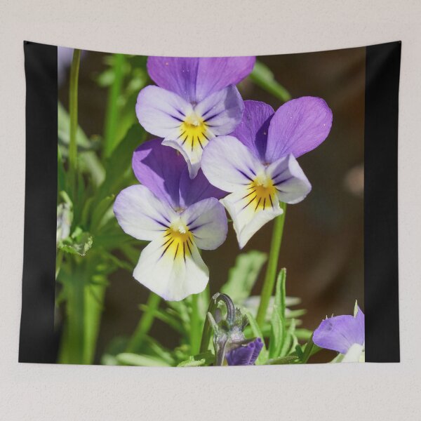 Item preview, Heartsease trio designed and sold by Jouko Lehto Photography.