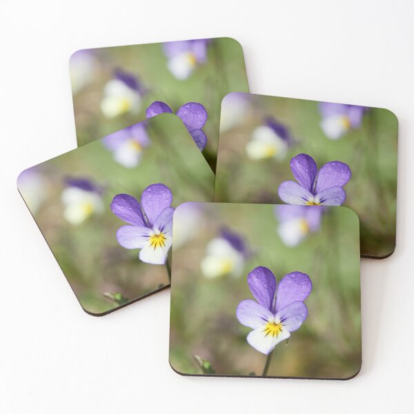 Item preview, Me and my friends. Heartsease designed and sold by Jouko Lehto Photography.