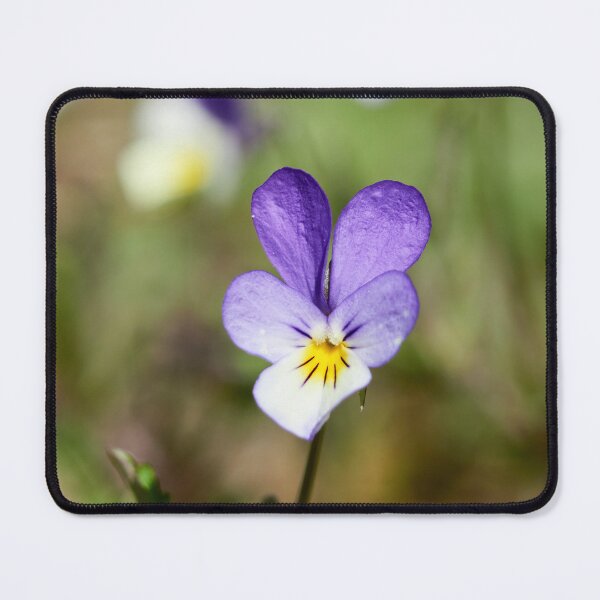 Item preview, Me and my friends. Heartsease designed and sold by Jouko Lehto Photography.