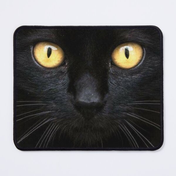 Item preview, Black Cat Look designed and sold by MorningFive.