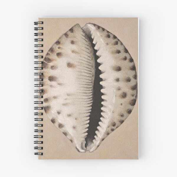 Item preview, Cowrie Sea Shell in Pastel designed and sold by Fiona Cross.