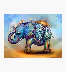 magic rainbow elephant Photographic Print