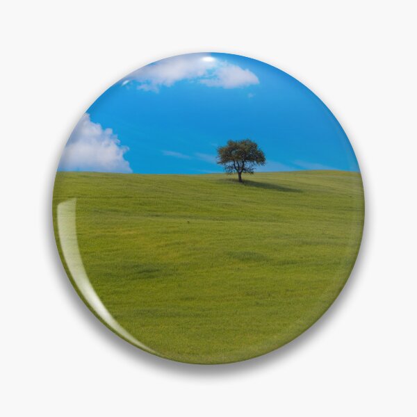 Item preview, A tree in Val D Orcia designed and sold by pietrofoto.