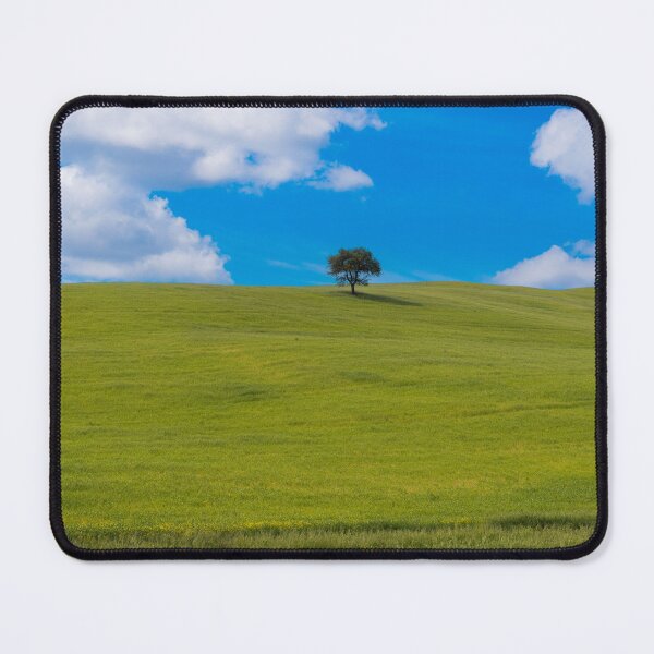 Item preview, A tree in Val D Orcia designed and sold by pietrofoto.