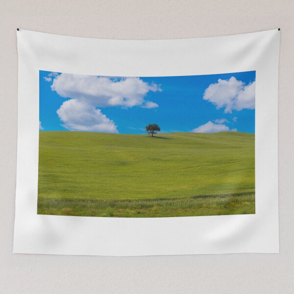 Item preview, A tree in Val D Orcia designed and sold by pietrofoto.