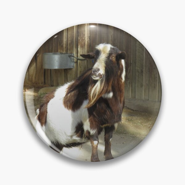 Item preview, The posing goat designed and sold by greentiger1.