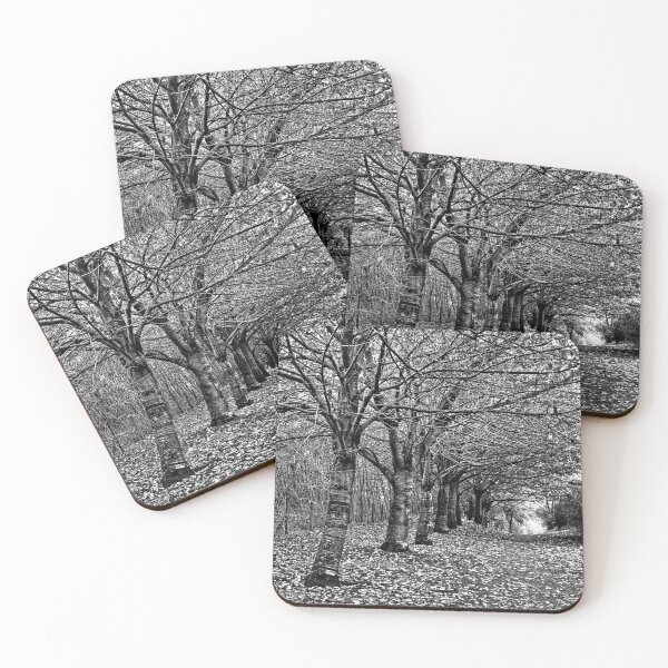 Item preview, Autumn Leaves - B&W designed and sold by tomg.