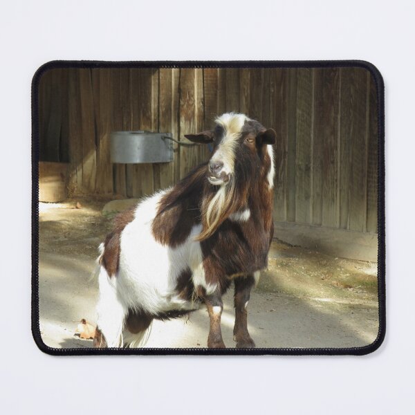 Item preview, The posing goat designed and sold by greentiger1.