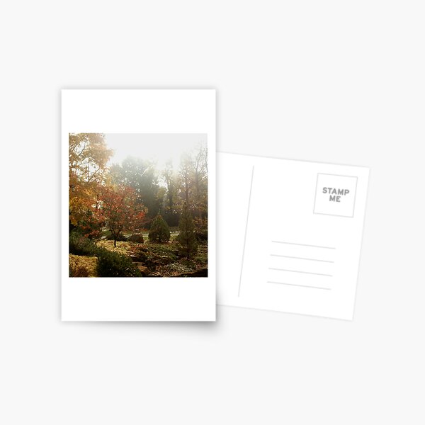 Untitled Postcard