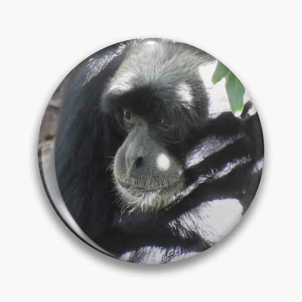 Item preview, Siamang gibbon up close designed and sold by greentiger1.