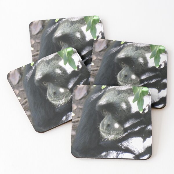 Item preview, Siamang gibbon up close designed and sold by greentiger1.