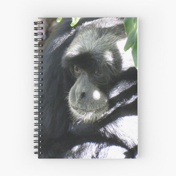 Item preview, Siamang gibbon up close designed and sold by greentiger1.