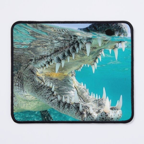 Item preview, Alligator on the Move designed and sold by MorningFive.