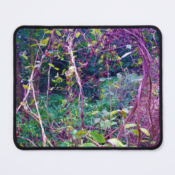 Item preview, #198 |☼| A Tangle Of Branches (Elsham Hall, Gardens & Country Park) designed and sold by Naean H.F. (Nez Man).
