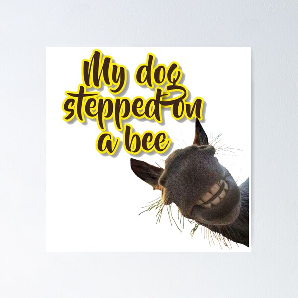 Stream My Dog Stepped On a Bee (STRNGR Remix) [Free Download] by STRNGR