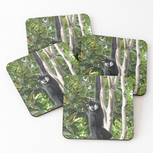 Item preview, Hanging gibbon designed and sold by greentiger1.