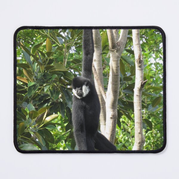 Item preview, Hanging gibbon designed and sold by greentiger1.