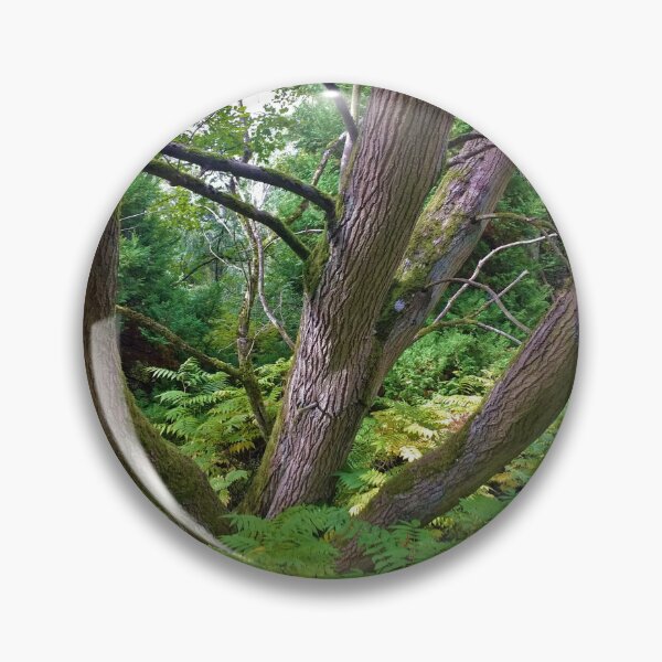 Item preview, #199 |☼| Multi-Trunk Tree (Elsham Hall, Gardens & Country Park) designed and sold by Naean H.F. (Nez Man).