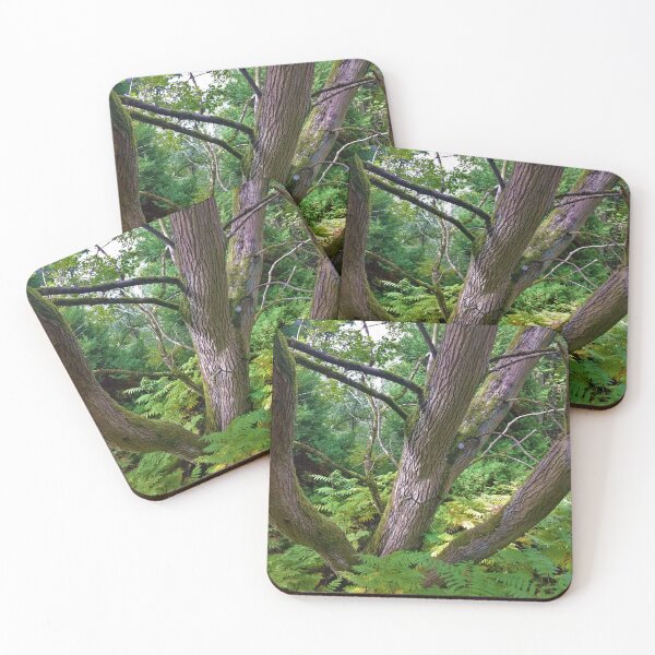 Item preview, #199 |☼| Multi-Trunk Tree (Elsham Hall, Gardens & Country Park) designed and sold by Naean H.F. (Nez Man).