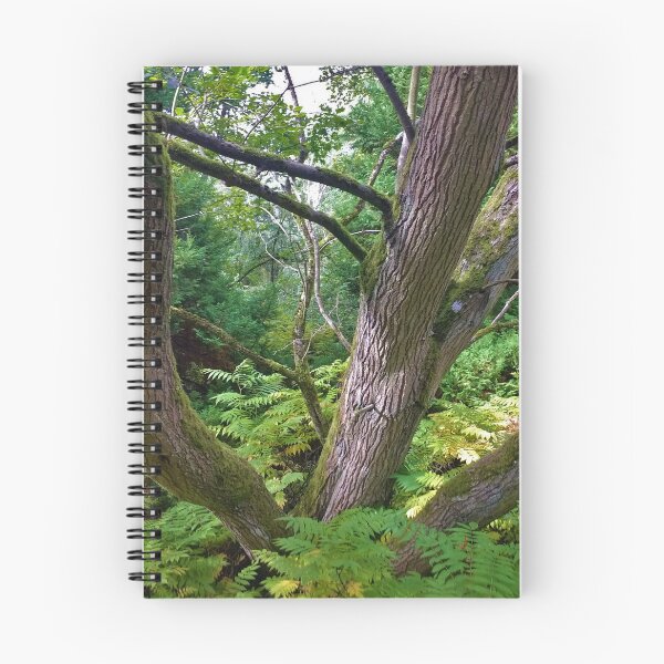 Item preview, #199 |☼| Multi-Trunk Tree (Elsham Hall, Gardens & Country Park) designed and sold by Naean H.F. (Nez Man).