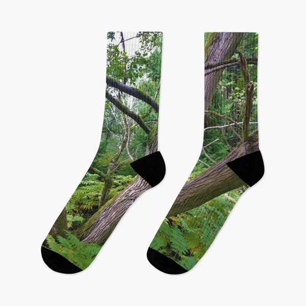 Item preview, #199 |☼| Multi-Trunk Tree (Elsham Hall, Gardens & Country Park) designed and sold by Naean H.F. (Nez Man).