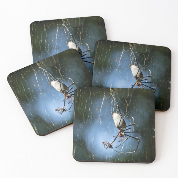 Item preview, Spider's Dinner designed and sold by Kate Powick.