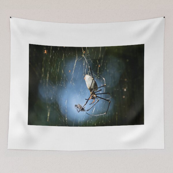 Item preview, Spider's Dinner designed and sold by Kate Powick.