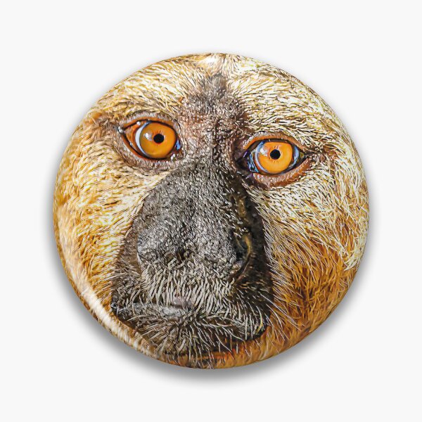 Item preview, Magical face of a male White-faced Saki monkey designed and sold by Dalyndigital Photography.