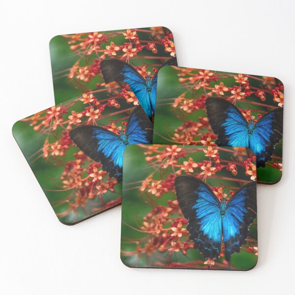 Item preview, Ulysses Butterfly designed and sold by Kate Powick.