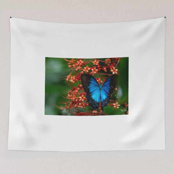 Item preview, Ulysses Butterfly designed and sold by Kate Powick.