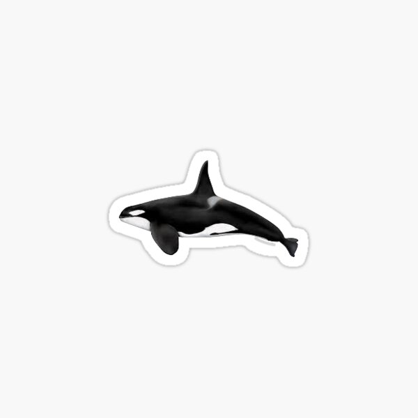 Item preview, Orca Sticker designed and sold by sydneyh01.