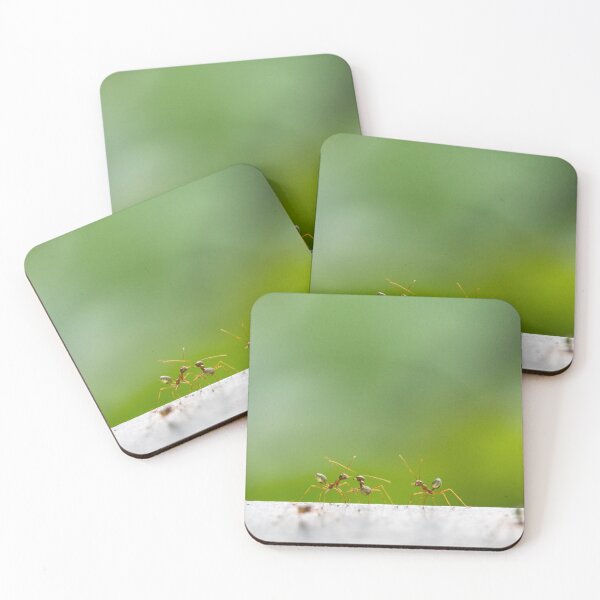 Item preview, Green Ants designed and sold by Kate Powick.