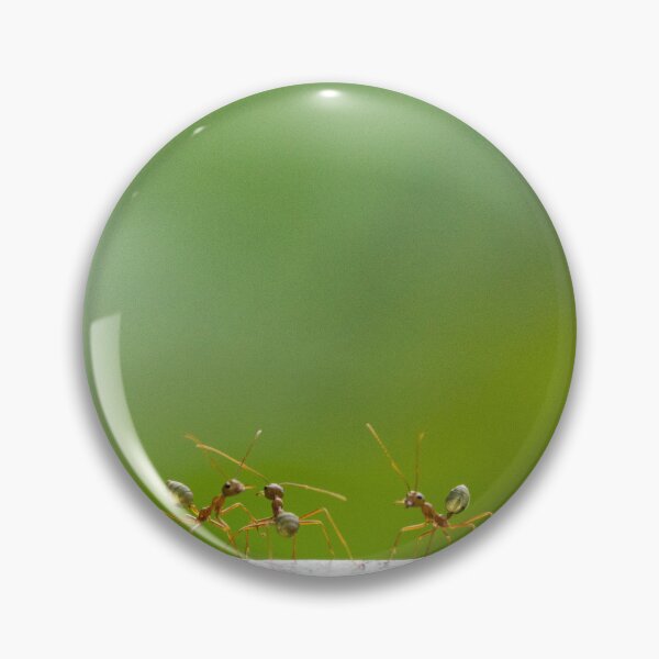 Item preview, Green Ants designed and sold by Kate Powick.