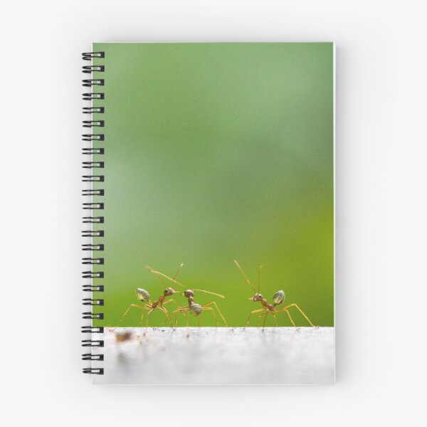 Item preview, Green Ants designed and sold by Kate Powick.