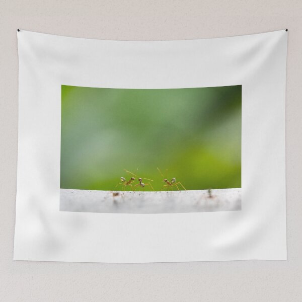 Item preview, Green Ants designed and sold by Kate Powick.