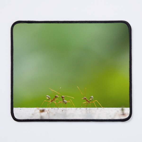 Item preview, Green Ants designed and sold by Kate Powick.