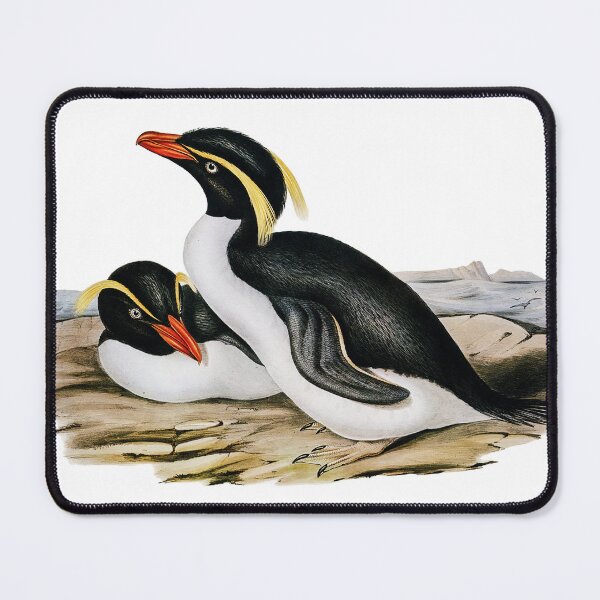Item preview, Crested Penguin (Eudyptes chrysocome) designed and sold by ShopThousand.