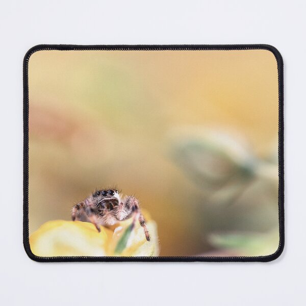 Item preview, Phidippus regius designed and sold by BBPGallery.