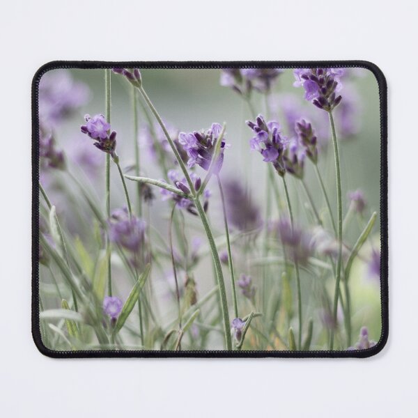 Item preview, Sunny Summer purple Lavender field of flowers Aesthetic Wallpaper designed and sold by Levated.