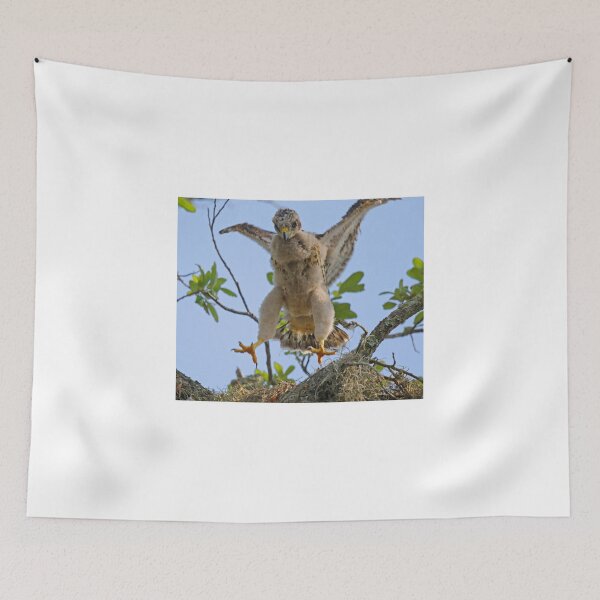 Item preview, Look mom I can fly! designed and sold by Anthony Goldman.